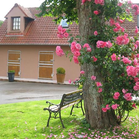 Hotel Du Moulin Aux Draps Desvres Exterior photo