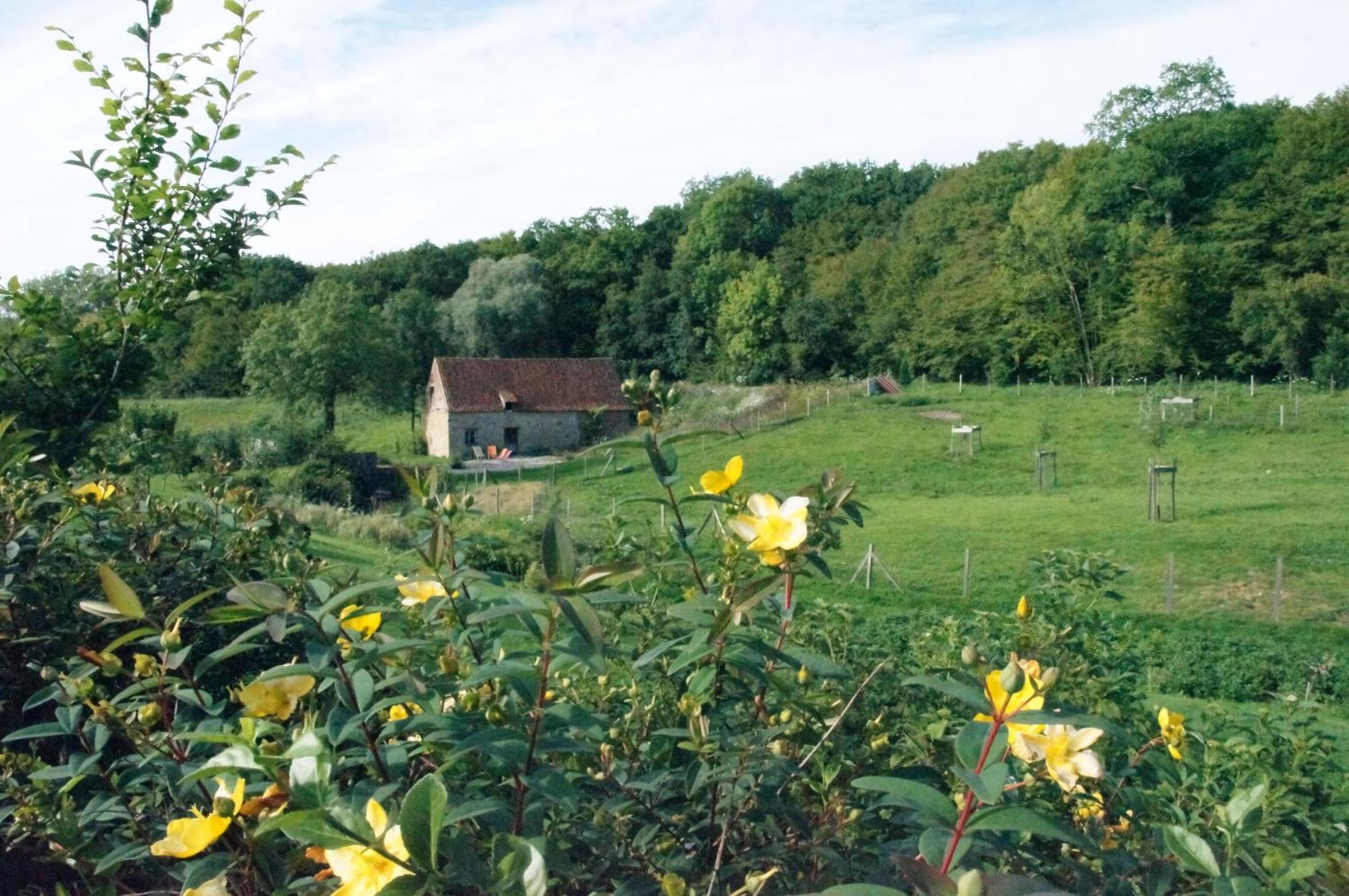 Hotel Du Moulin Aux Draps Desvres Exterior photo